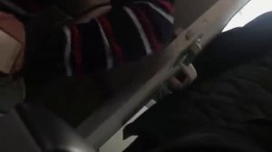 Сын художника Никаса Сафронова Лука застрял в унитазе самолета рейса Казань-Москва
