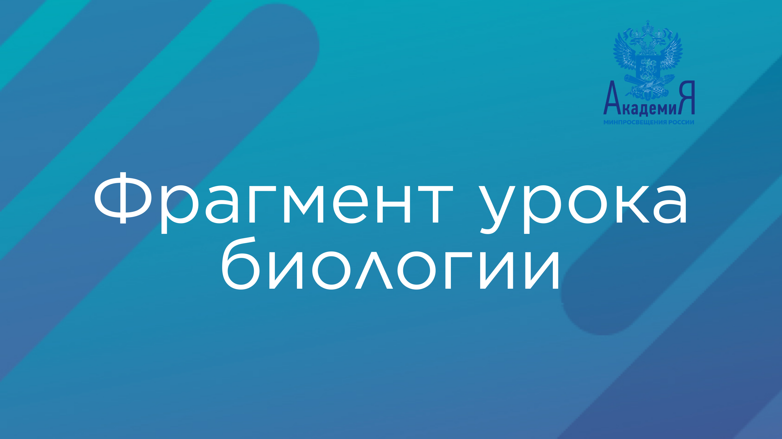 Фрагмент урока биологии смотреть онлайн