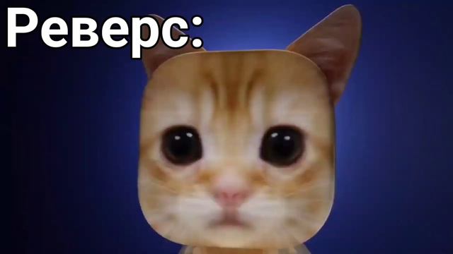 Meow Meow в разных эффектах смотреть онлайн