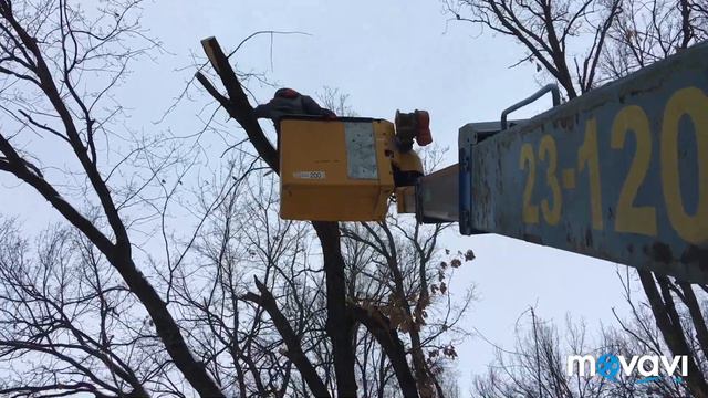Спил деревьев с Автовышки / Упало бревно на теплотрассу смотреть онлайн