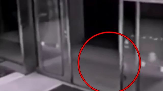 Это Существо в Египте Засняли на Камеру смотреть онлайн