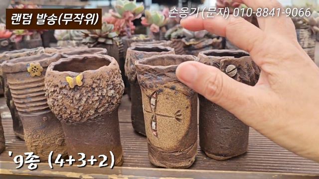 작은 롱~분 (한정세일) 🪁주물럭 손옹기화분 смотреть онлайн