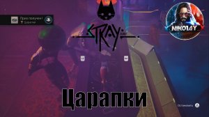 Stray Поцарапайте винил в клубе [Scratch / Царапки]