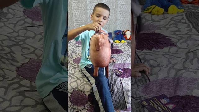 Обзор на мягкую игрушку Шлепа от. БлопТоп. Заказали в Вайлдберрис за 1443 рубля по акции. смотреть онлайн