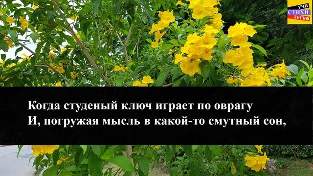 М.Ю. Лермонтов "Когда волнуется желтеющая нива" | Учи стихи легко | Аудио Стихи Слушать Онлайн смотреть онлайн