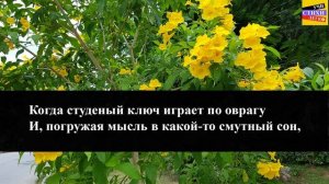 М.Ю. Лермонтов «Когда волнуется желтеющая нива» | Учи стихи легко | Аудио Стихи Слушать Онлайн