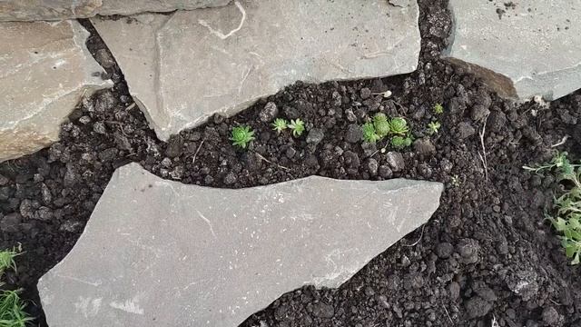 АЛЬПИЙСКАЯ ГОРКА ГОТОВА. ПЕРЕДЕЛАЛА ЦВЕТНИК. смотреть онлайн