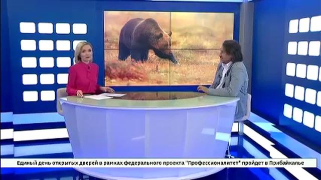 Танцующий медведь смотреть онлайн