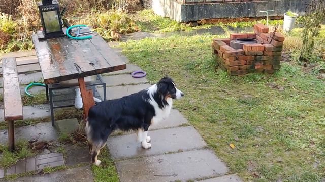 Ноябрь 2022: Лёд, Люк, Душ, Камин, Бабушка, Паровоз, Прогулки/13 месяцев с Аусси смотреть онлайн