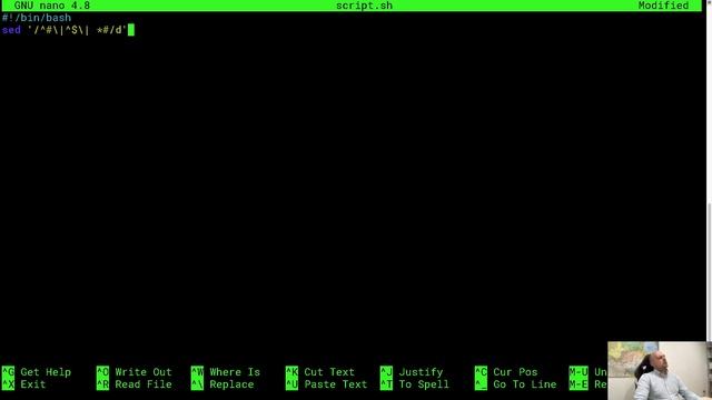 Linux. Введение в скрипты bash. SED (1) смотреть онлайн