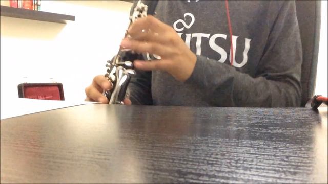 Fullmetal Alchemist: Brotherhood- Let It Out [Clarinet Cover] смотреть онлайн