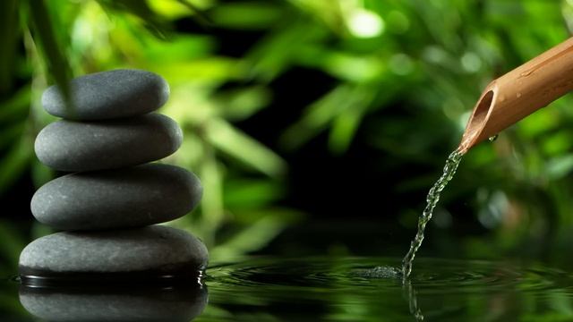 Relaxing Zen Music With Water Sounds • Peaceful Ambience For Meditation, Spa, Yoga And Relaxation #