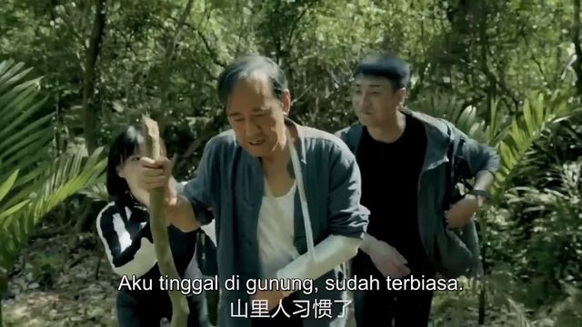 【INDO SUB】Raja Ular (The King of the Snake) | Dikejar oleh Raja Ular | Film Action Petualangan смотреть онлайн