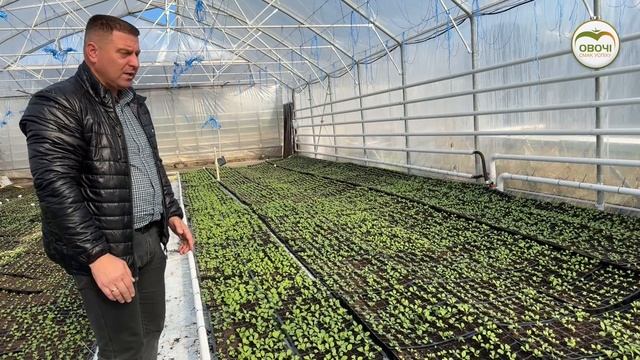 Редис в теплиці. Раціональне використання площ | Овочі.Смак успіху смотреть онлайн