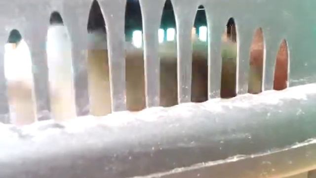 Зверек-хорек)) смотреть онлайн