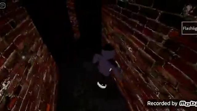 Scp087:The Roblox horrorgame feat quartzthefennecfox 94🦊👻 смотреть онлайн