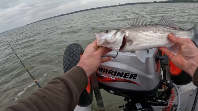 SIB Fishing UK Estuary Bass смотреть онлайн