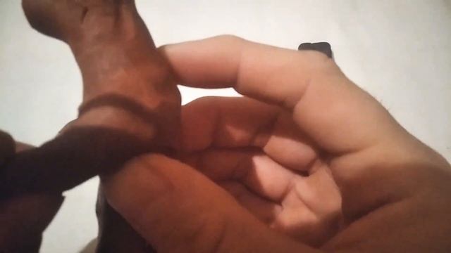 Медведь из пластилин