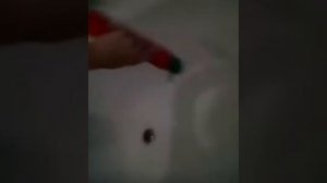 Шутки на 1 апреля