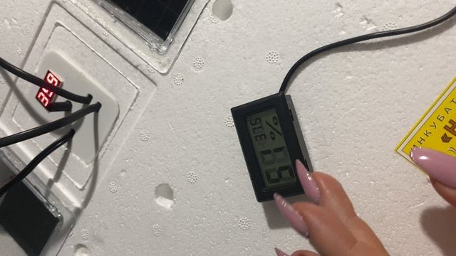 Подготовка инкубатора Несушка-63 к инкубации перепела смотреть онлайн