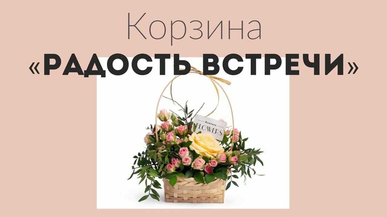 Радость встречи смотреть онлайн