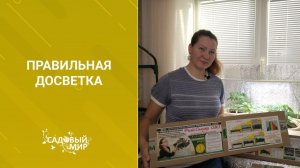 От растущего светильника- растет рассада и комнатные цветы. Правильная досветка!