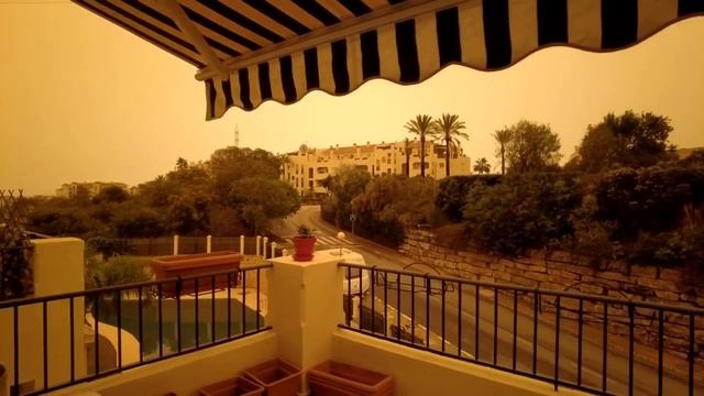 85% многоцветки. Осень в березовой роще смотреть онлайн