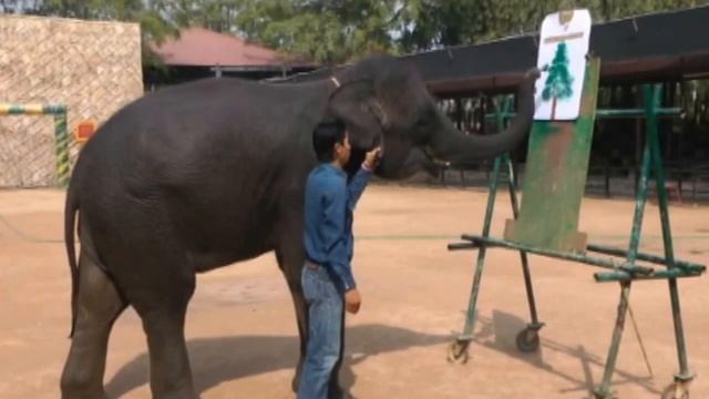 Рисуют слоники смотреть онлайн