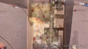 Яблокорезка из нержавейки (нарезает яблоки кольцами для сушки)