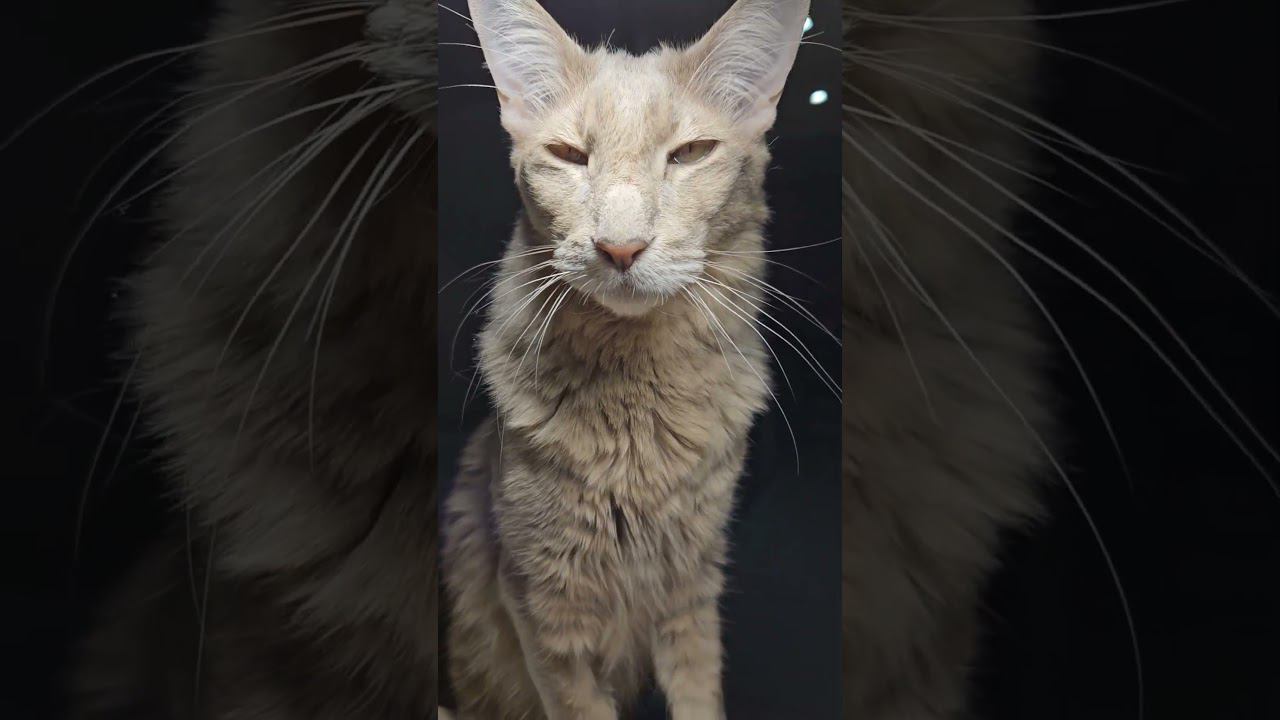 Лёвка смотреть онлайн