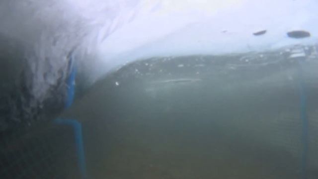 Айс флай дайвинг Ice Fly Diving смотреть онлайн