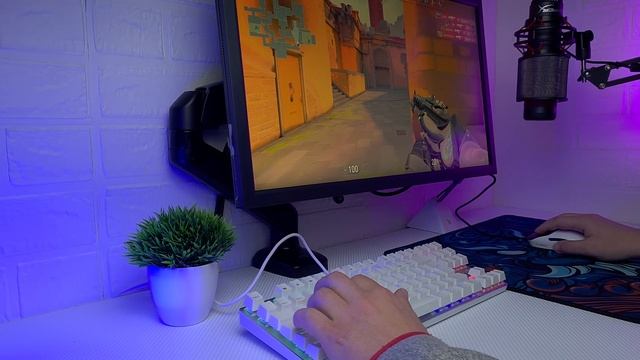 Teclado Fallen Ace Tournament REVIEW - o PIOR teclado que já usei!!! смотреть онлайн