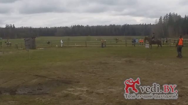 Конный пробег среди любителей и профессионалов, старт, съемка с камеры GoPro, VEDI.BY смотреть онлайн