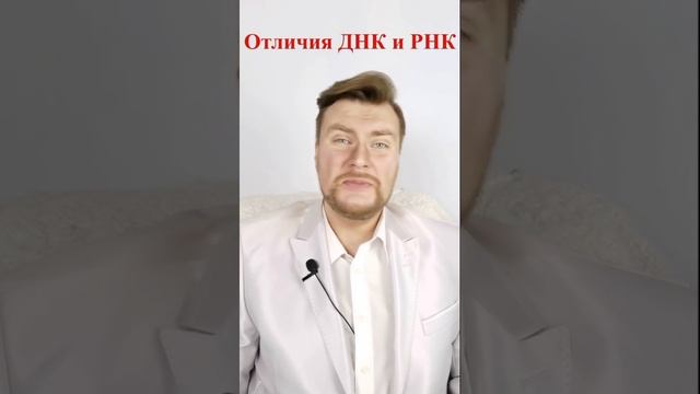 ДНК и РНК отличия структур. ЕГЭ Биология. ЕГЭ 2022. смотреть онлайн