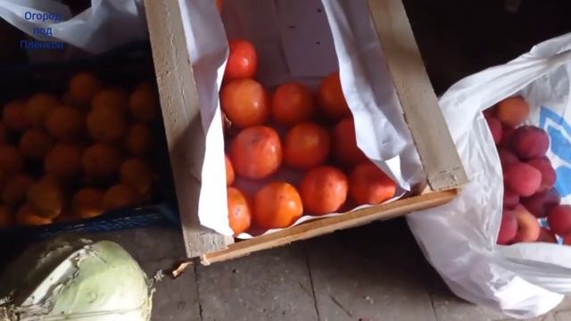 Готовимся к посту. 25.11.22 смотреть онлайн