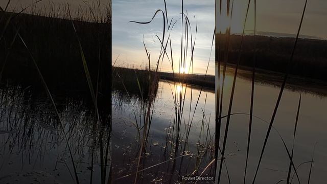 Воткинск, река шарканка