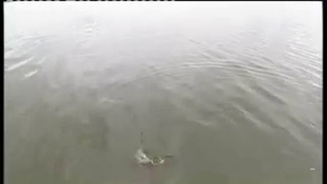 Matt Hayes - How to Feeder fish, Episode 6 смотреть онлайн
