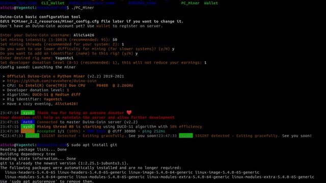 How to mine Duino-Coin (DUCO) on Linux (Debian based) смотреть онлайн