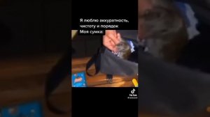 Женская сумка. В сумке крыса. Прикол