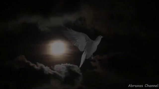 Jimin/Strange birds смотреть онлайн