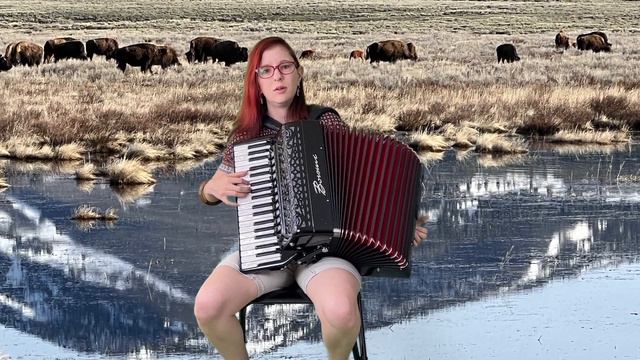 It Had to be you #accordion #accordionmusic #music #gypsyjazz смотреть онлайн