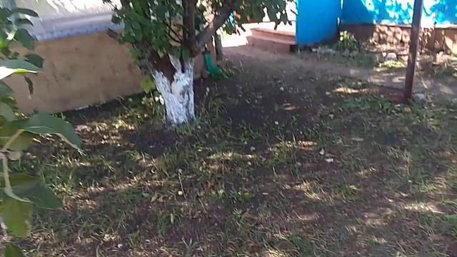 Обзор дачи после покупки,что я сделал за это лето, планы на на следующий год!!! смотреть онлайн