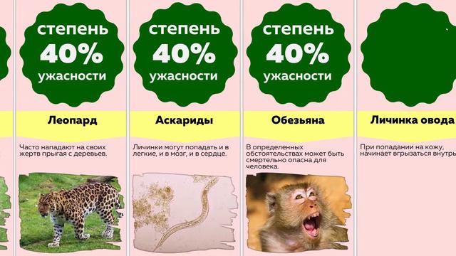 Сравнение: Самые страшные животные в мире смотреть онлайн