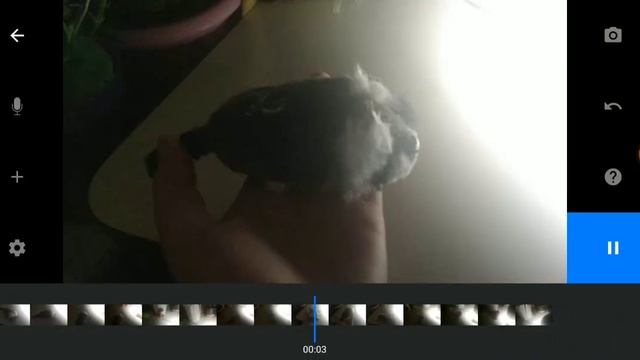 мультик лиса и енот 1 часть смотреть онлайн