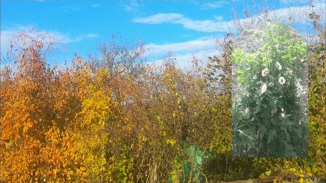 Осенний пейзаж смотреть онлайн