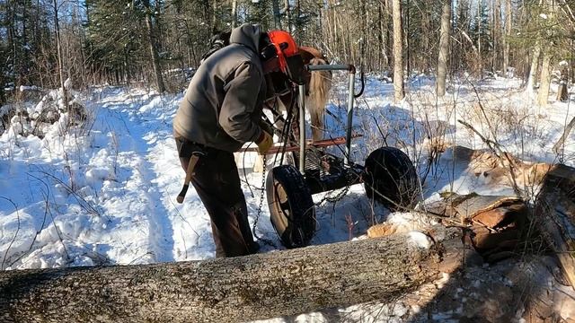 Working in the Woods with Draft Horses/Draft Horse Logging смотреть онлайн