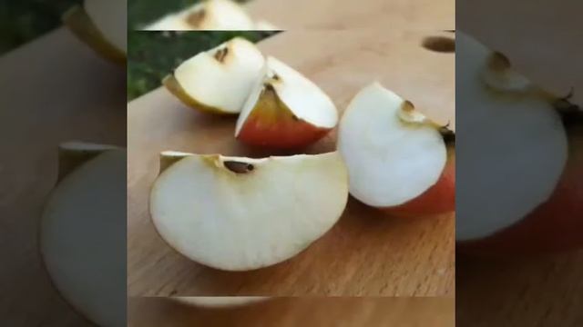 Стрижки и Прически