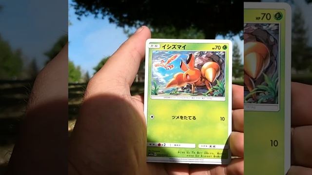 #PokemonCards #SkyLegends #TCG #Shorts Opening A Sky Legends Booster Pack At The Park. смотреть онлайн