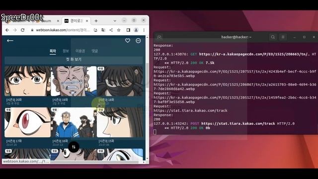 proxy_controller ubuntu 에서 테스트하기 - 눈의 꽃 смотреть онлайн