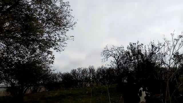 з 33 річчям весілля! смотреть онлайн